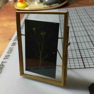 3in. Glass and metal frame with flower press